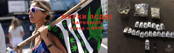 спайс Мегион
