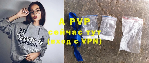 индика Майский
