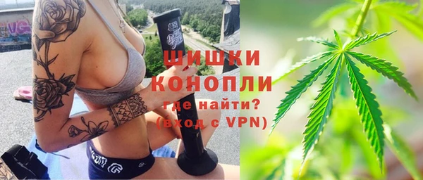 индика Майский