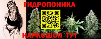 дурь Камышлов