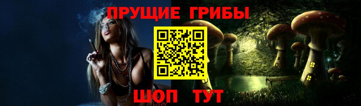 Кемерово  Псилоцибиновые грибы Psilocybe  Вход с VPN  Псилоцибиновые грибы мухоморы 